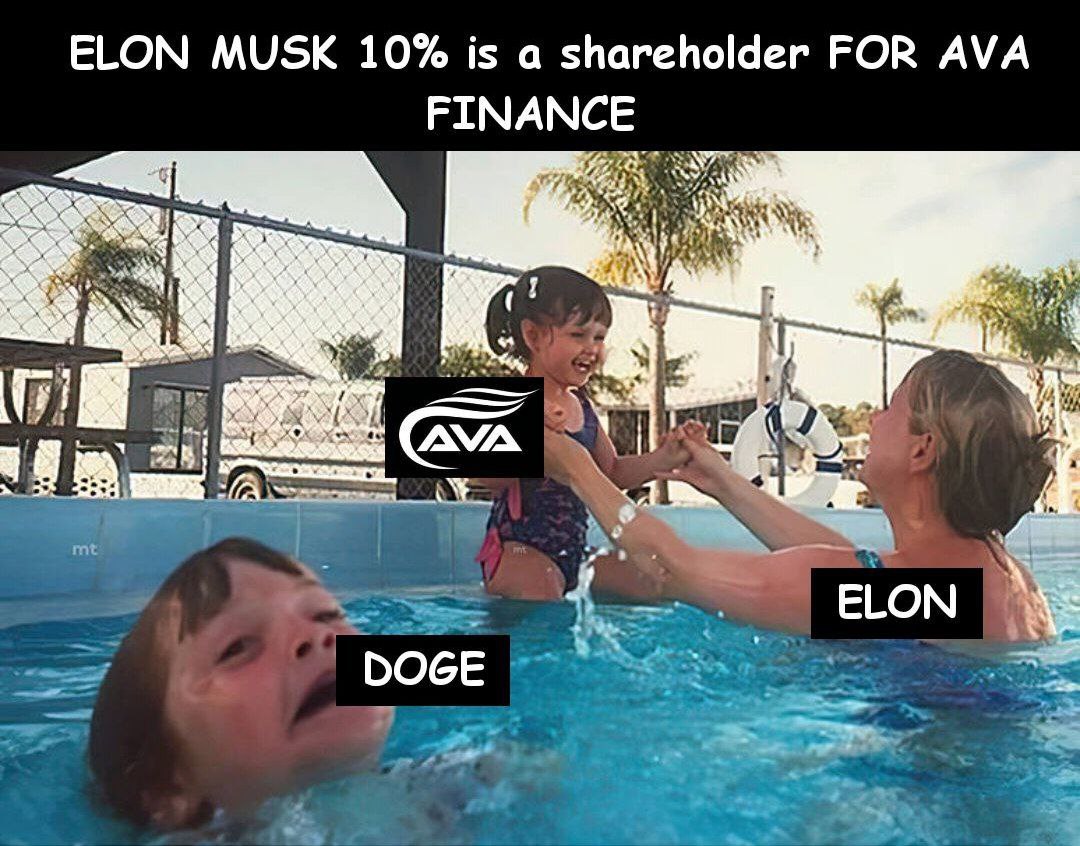 Ava_finance's tweet photo. #AvaFinance meme for Elon 💪💪 https://t.co/nQHAUhjy5K