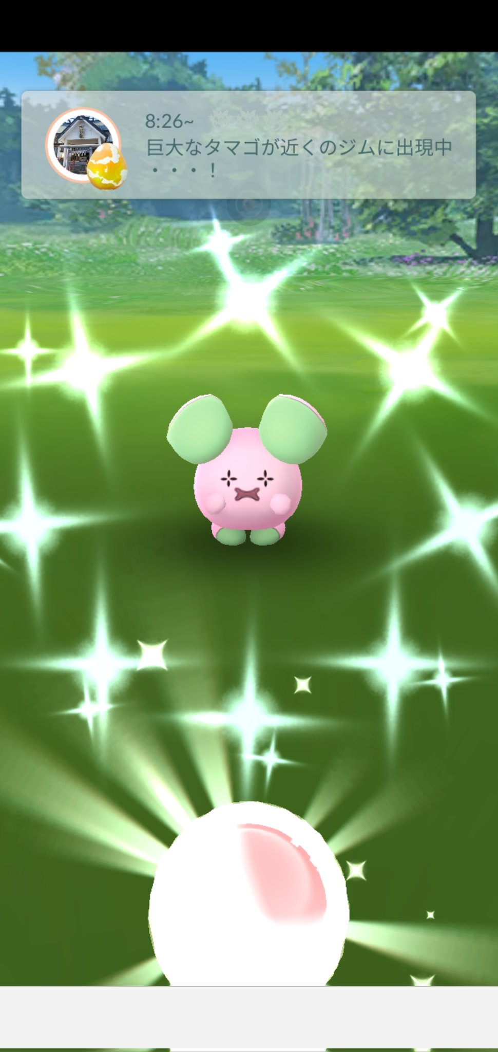 Amazinghisa 今日のポケモンgo活動 朝からゴニョニョ光った レイドはイワンコ 2 2匹目の色違いなかなか出ない ポケモンgo ゴニョニョ 色違い イワンコ T Co 4u0aezbyyh Twitter