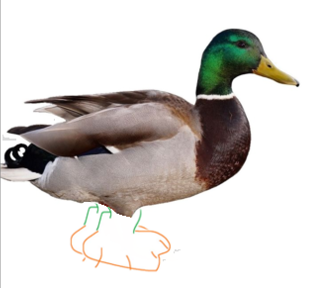 Tikef2's tweet photo. @himekoxo thank you for the pumpkin art (and hugenoob for the duck) https://t.co/LAp6kMVBrR