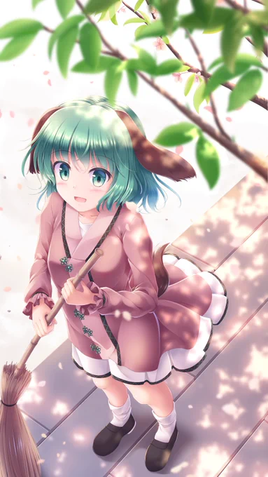 葉桜 