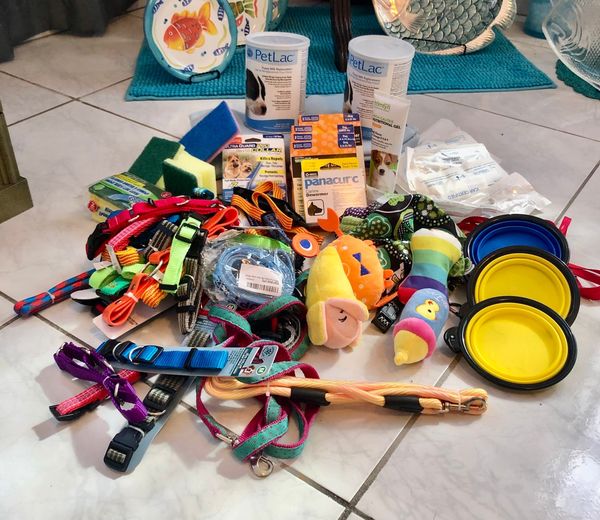 arf_aruba's tweet photo. Grateful for @LuvPugFDN  donations &amp; the personal delivery by Angie @LuvPug , Leia, Christy. Necessary donated supplies included dewormer, microchips, leashes, collars, blankets, puppy milk, cleaning items. 
#donate #arfaruba #gratitude #thankful #stopanimalneglect #grateful https://t.co/mGmWSaZxuZ