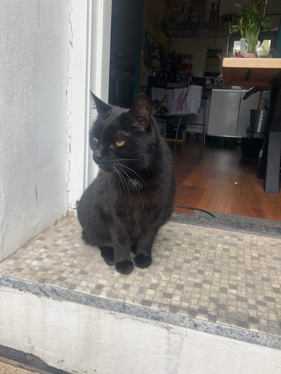 💖🌈Sabsy🌈💖 tweet media