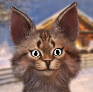 Gravycatman tweet media