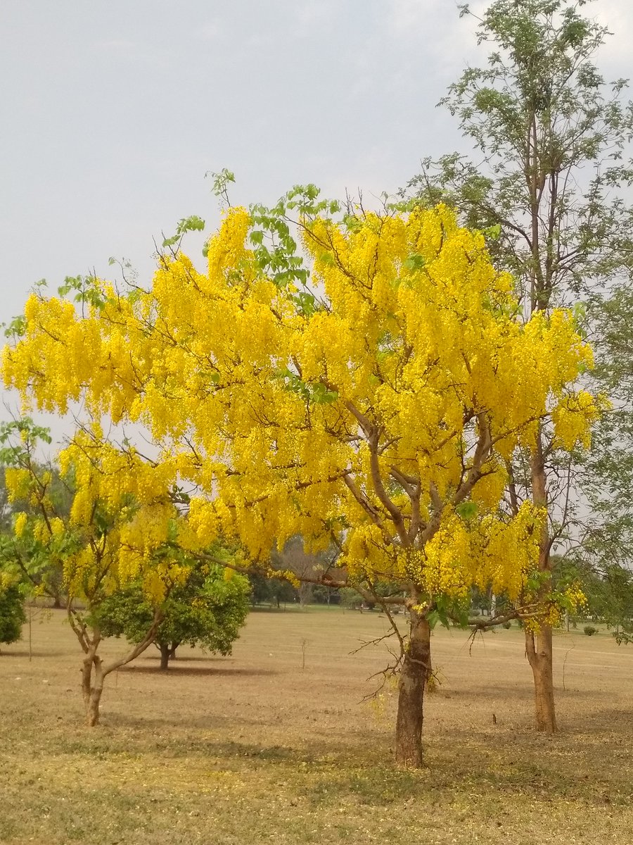 Suyash Patil (@suyashpatil7) on Twitter photo 