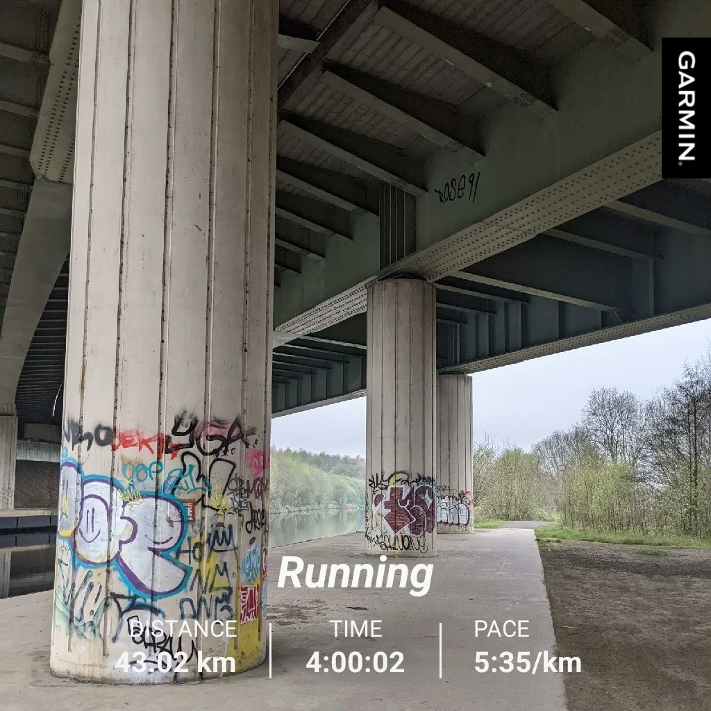 ollydharrison's tweet photo. Marathon. Completed it mate. Not quite as difficult or as satisfying as I thought it would be. Not easy, just not horrible. #run4cf #ukrunchat #ultratraining #marathon https://t.co/Vl8wbxlgNR