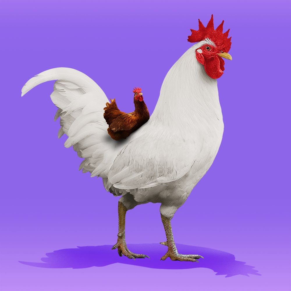 RoostrNFT's tweet image. 🥚 Roostr No.3777 - common - 1kg - Sold for 20.00 AVAX 🐔 

Community Chat: discord.gg/chikn
Marketplace Listing: chikn.farm/roostr/3777
Transaction: snowtrace.io/tx/0xe1baf1405…