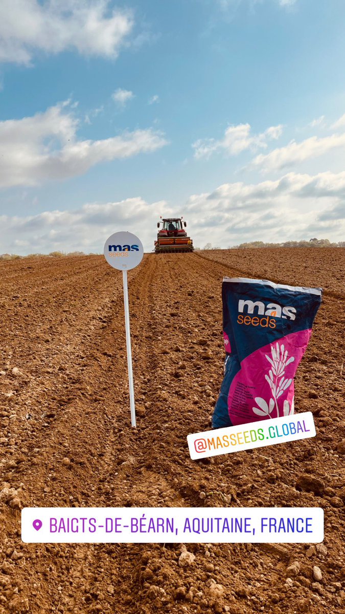DesclauxT's tweet photo. L’offre variétale de @MASSeeds se complète avec l’arrivée de la Luzerne ! 🍀
Pour l’occasion, nous mettons en place une plateforme à Baigts de Béarn avec nos deux variétés, #MAS ALFA & #NUTRIX
#diversification #nouveaute #alfalfa #semis22
@MASseedsfrance https://t.co/JvldmPedR9