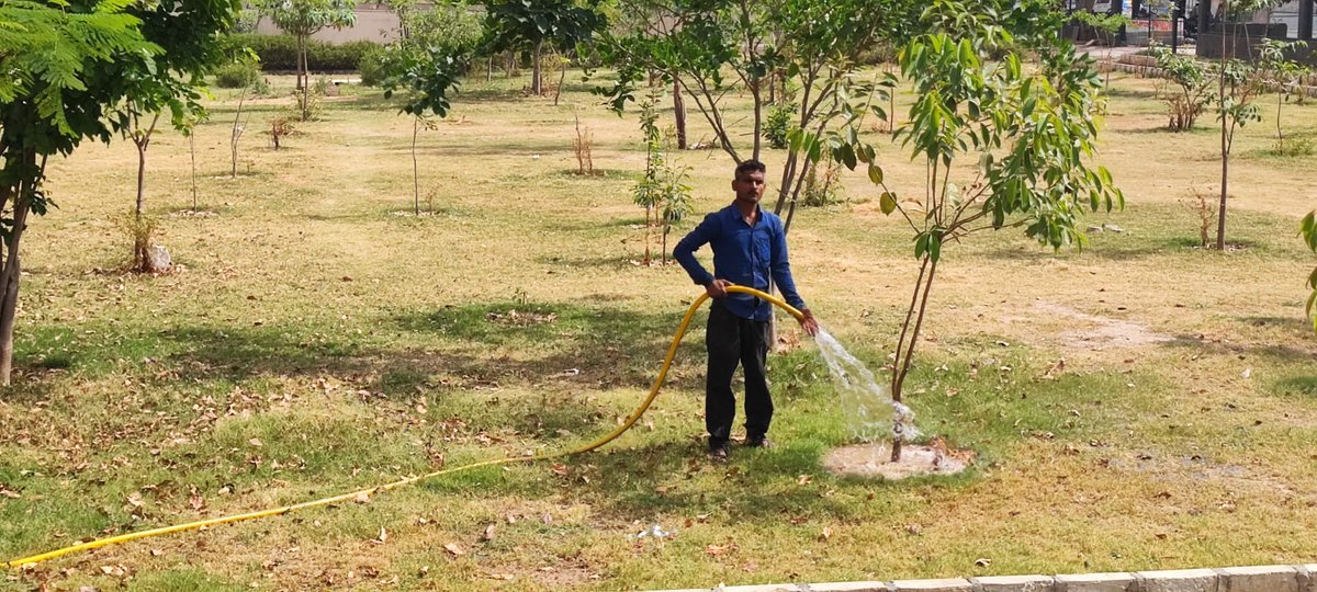 <a href="/7xsportscity/">7xSportsCityFoundation(Regd)</a> <a href="/arpbks/">Brajesh Sharma (7XWT)</a> <a href="/CeoNoida/">CEO, NOIDA Authority</a> <a href="/Mukesh2121971/">MUKESH VAISH</a> <a href="/InduPrakashPCS/">Indu Prakash Singh</a> <a href="/VijayRa09109184/">Vijay Rawal</a> <a href="/noida_authority/">NOIDA Authority</a> <a href="/Noida7x/">Noida की 7X Welfare टीम</a> @Anjalis09068541 <a href="/AdtAmbrish/">Ambrish Tripathi</a> <a href="/himanshutoi/">himanshu singh</a> <a href="/GirirajBahediya/">Giriraj Bahediya (7XWT)</a> <a href="/Shreya28573403/">Shreya Sharma</a> <a href="/JhaRakesh009/">Rakesh kumar jha✍️</a> <a href="/pankajkansal87/">Pankaj Kansal</a> <a href="/SunilPSingh2/">Sunil P Singh</a> <a href="/Jitendra_5ingh/">Jitendra Kumar</a> <a href="/RavanMahapandit/">रावण</a> आज हमने खुद एसटीपी का ट्रीटेड वाटर एक ग्रीन बेल्ट में डाला। दूसरे हिस्से में लेकिन दूरी के पानी नहीं डल पा रहा है । आज दूसरे हिस्से में गाय भैंस भी घुस गई है। क्योंकि इसके गेट पर कोई भी कुंडा नहीं लगाया गया।  #swachsurvekshannoida 
<a href="/CeoNoida/">CEO, NOIDA Authority</a>  <a href="/InduPrakashPCS/">Indu Prakash Singh</a>  <a href="/PankajSinghBJP/">Pankaj Singh</a>