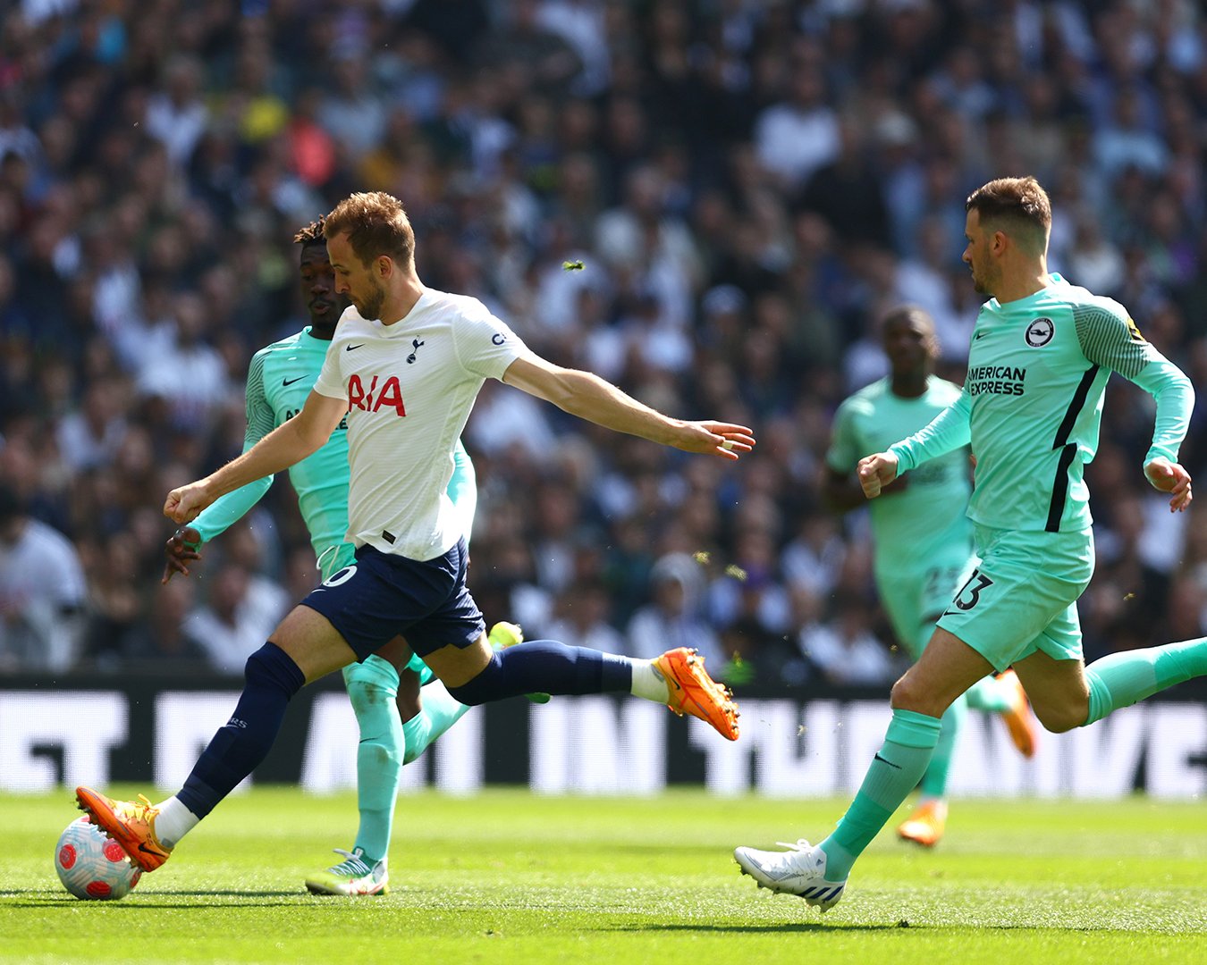 Tottenham Hotspur may not finish in the Premier League Top 4 as Brighton secure a late win at away