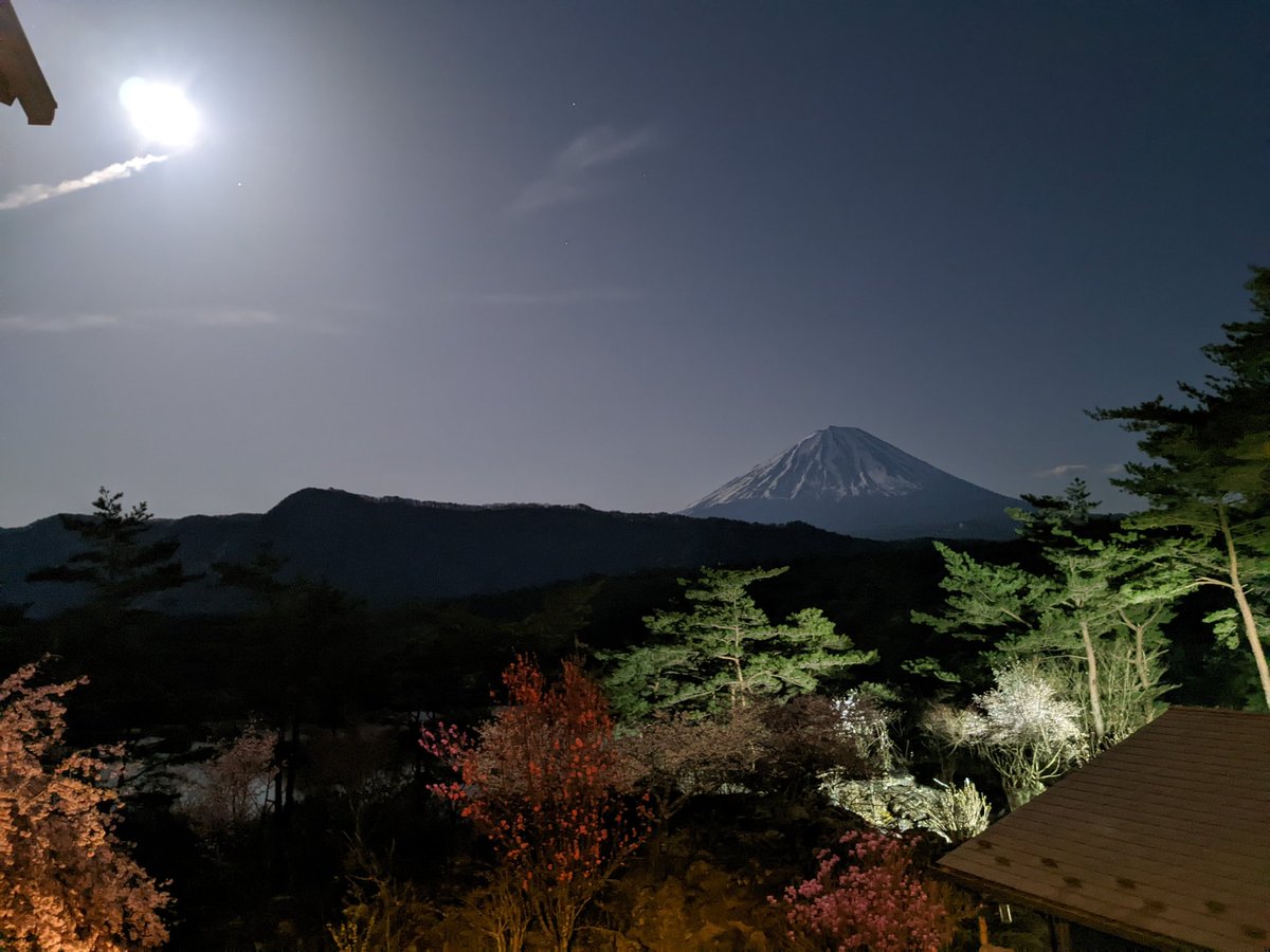 Rod Van Meter 🌻 tweet media