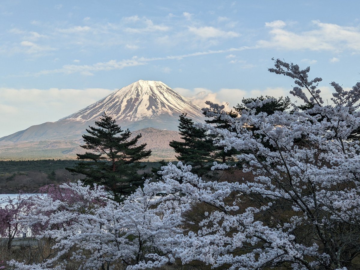 Rod Van Meter 🌻 tweet media