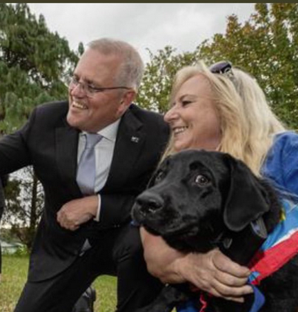 jennyeather's tweet photo. It's hard to move on from this, isn't it, dear tweeps? #auspol #ausvotes #dogsters #ruff  ^.^ https://t.co/HjQNRr0AX6