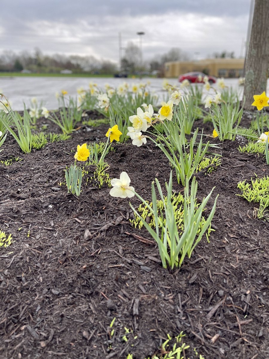 One of the most beautiful treasures from today's shopping trip was free! We love seeing the flowers bloom and are so grateful so many of you are coming out to experience all these unexpected benefits of in-person shopping! ☀️ 

bit.ly/35P8yWx