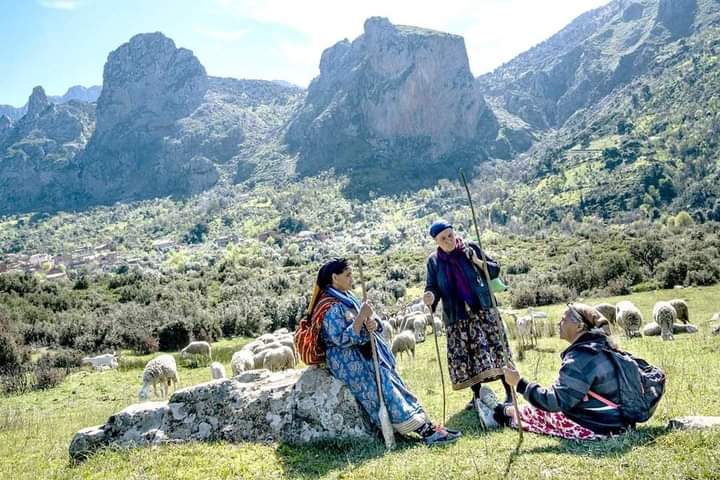Isefranjida's tweet photo. Argaz Ur NesƐi Ara Ssaḥ😊
.....Tifit Lalla Ma Tcebaḥ😉 https://t.co/kzaAZrWFMM