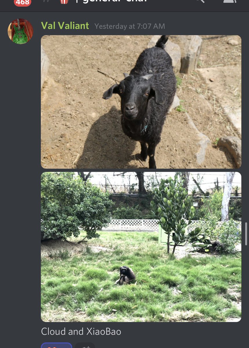 RealAnimals_RA's tweet image. RA NFTs matched with real animals! Meet Cloud the black goat and Xiaobao the Hoolock Gibbon! 

@ekara_org @TaiwanSPCA #woofam