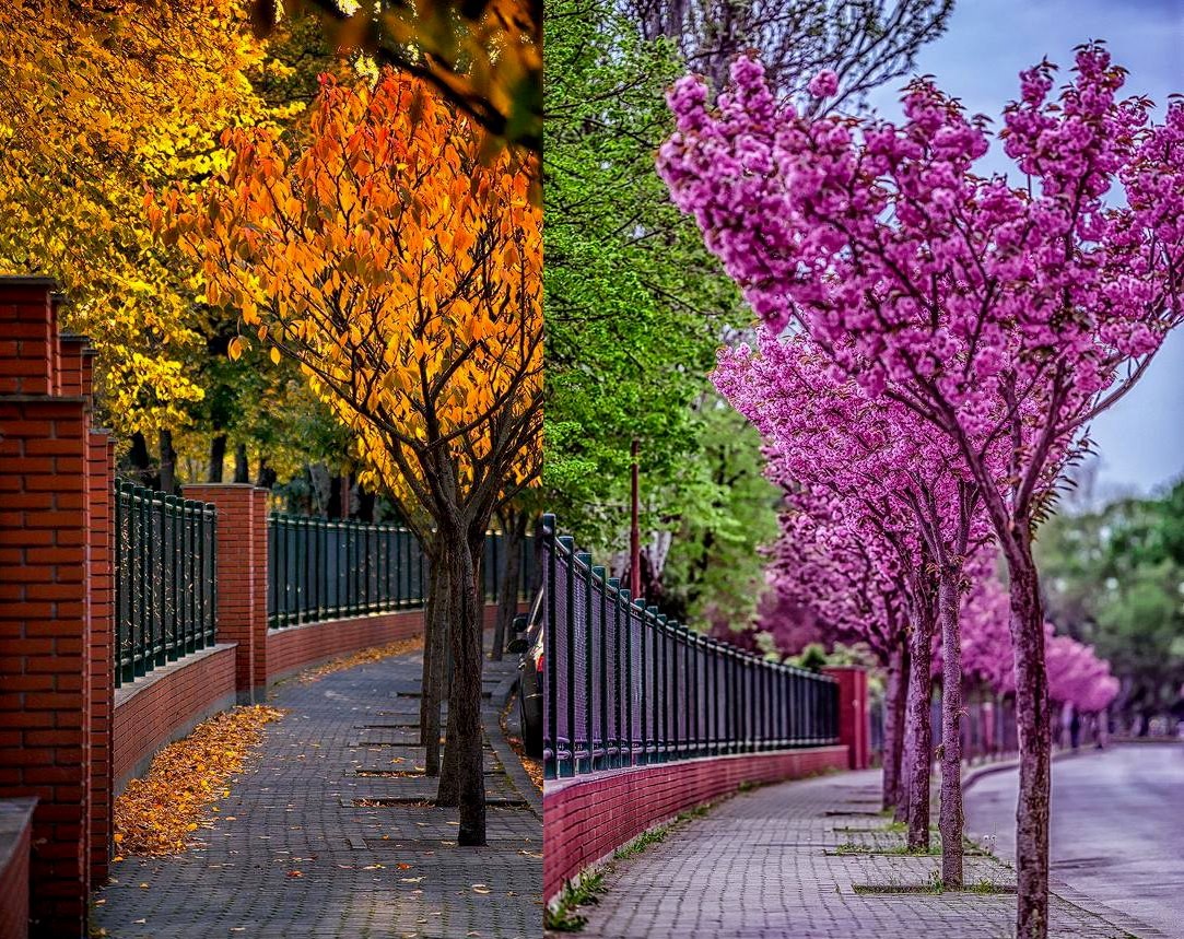 xyzwtf_55's tweet photo. 1 place and 2 season
From my archives #timisoaracity🇷🇴
#photography #photographer https://t.co/6CtcHDB9GM