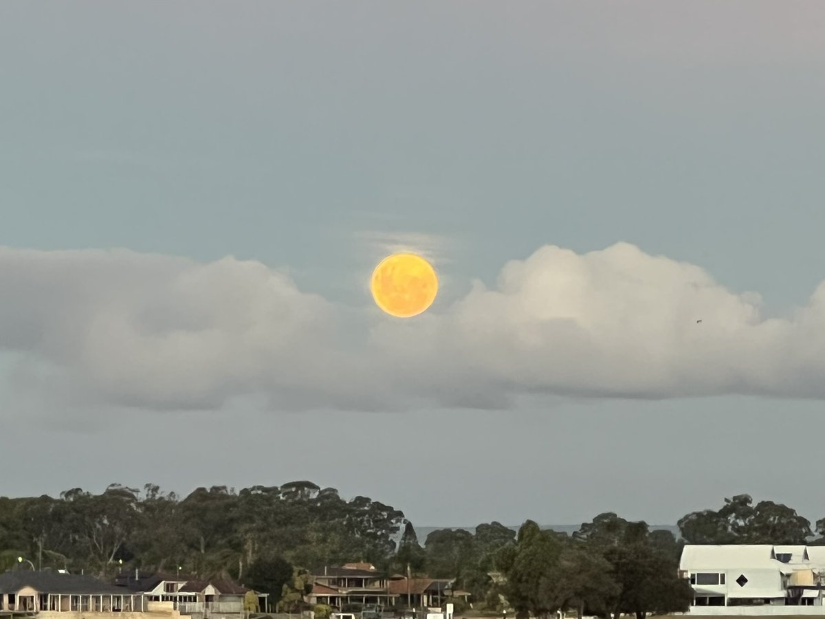 MarinaBackAtUni's tweet photo. Beautiful moon rising this evening. Almost looks like there is a face smiling at us! https://t.co/WwIvyRZW70