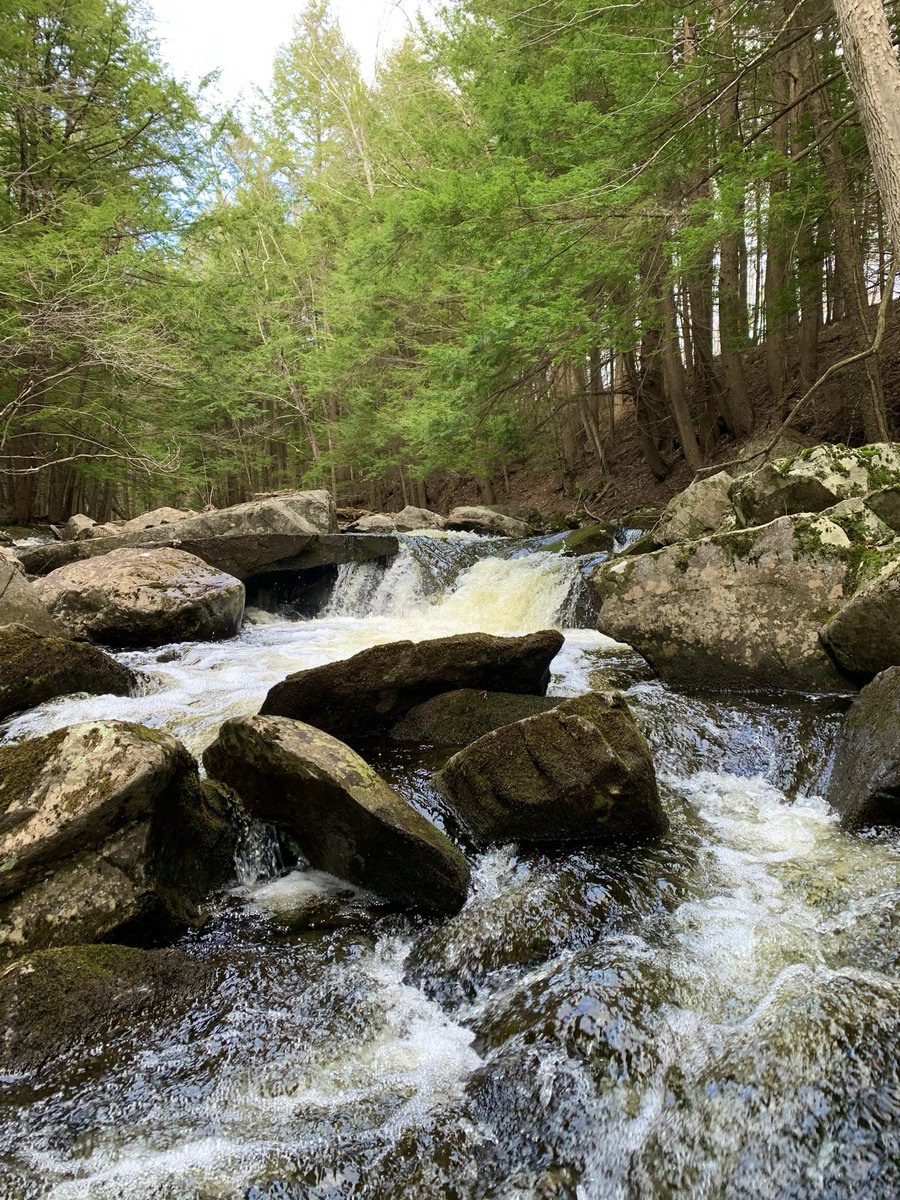 From Grafton to Nassau, the Rensselaer Plateau has a hike for you this weekend. #RensselaerCounty