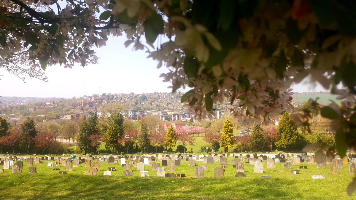 missumie78's tweet photo. There's a kind of peace in #cemetrees ๐ค๐ณ๐ฎ๐ https://t.co/mbCC6k1REI