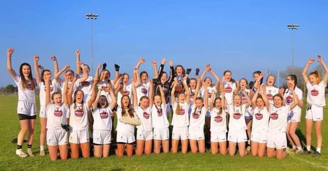 KildareLGFA1 tweet picture