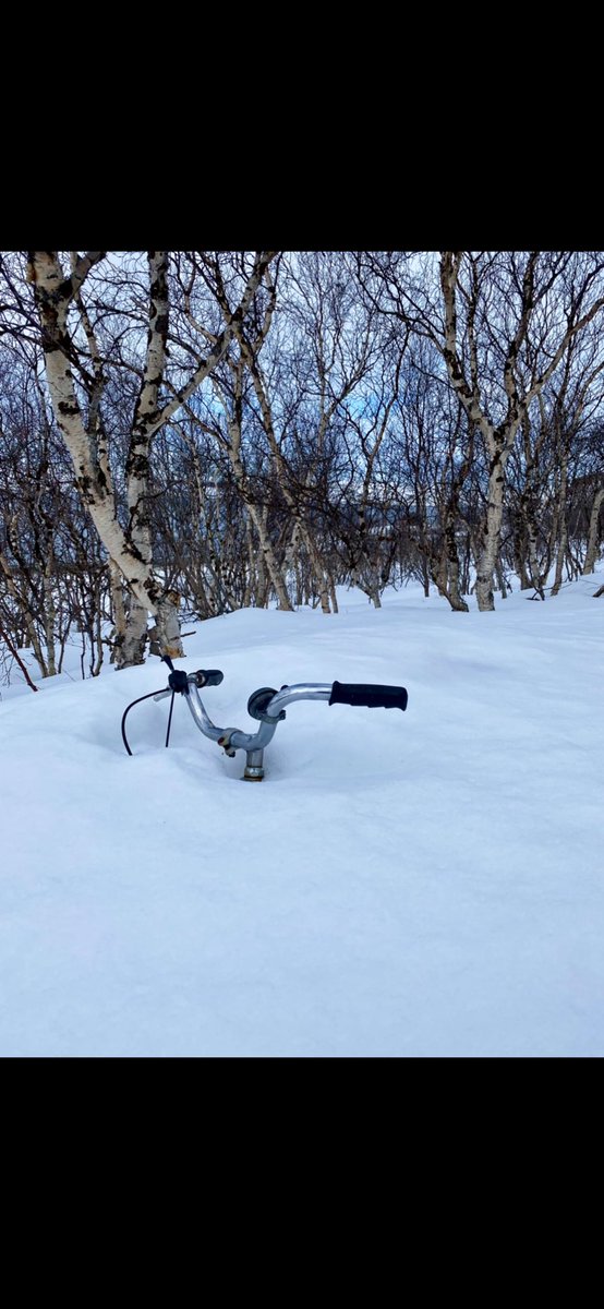 LenaWarelius's tweet image. Spring has come to Arctic 😂☀️ #thenewarctic #Arctic #spring #Easter  #barents #kirkenes #Norway