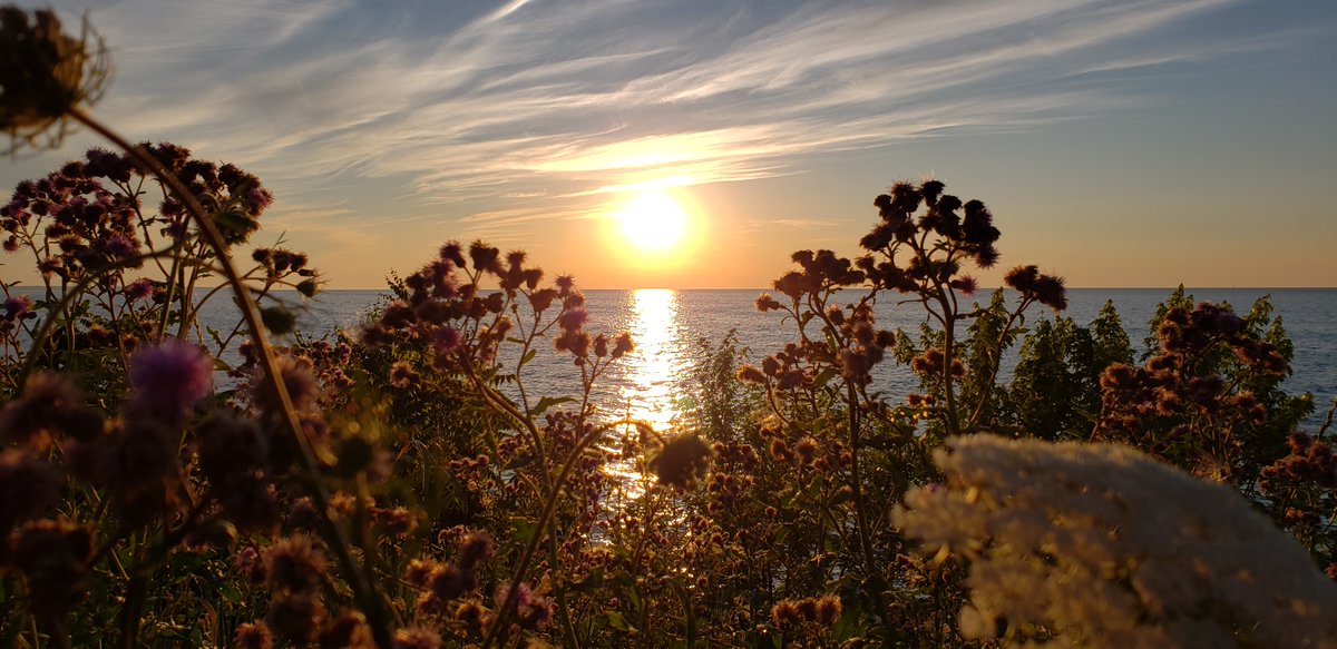 RonClausPhoto's tweet photo. Evening walk sunset at Lakewood Park #cleveland #ohio #cle #thisiscle #clevelandohio #theland https://t.co/WSLihZJt5Q
