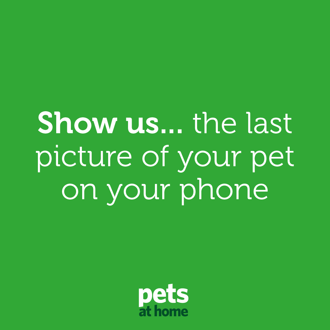 Pets at Home tweet media