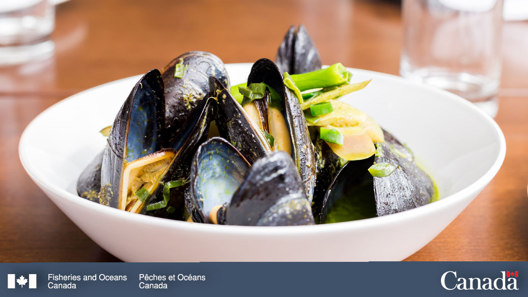 DFO_Pacific's tweet photo. Are you putting wild harvested #shellfish on your dinner table this long weekend? Don’t forget to check our website to find out if it’s safe and legal to harvest in your area. #WhenInDoubtCheckItOut https://t.co/2msqQBTu2P https://t.co/EbxIRBiMAS