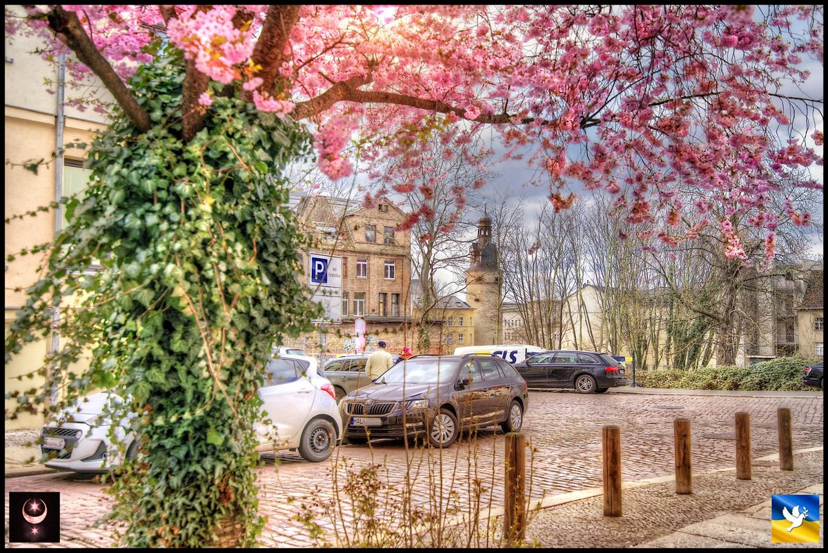 #Halle Blick von der Parkstraße zum Leipziger Turm. Bleibt gesund und munter!!!☮