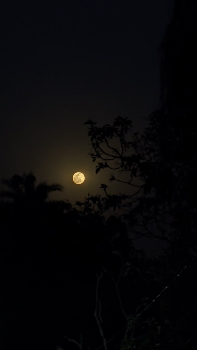 SiddharthVardh5's tweet photo. Sometimes camera even shocks me 🙌🔥
#shotonpixel4a #googlepixelcamera #googlepixel https://t.co/TzwSwBAMMG
