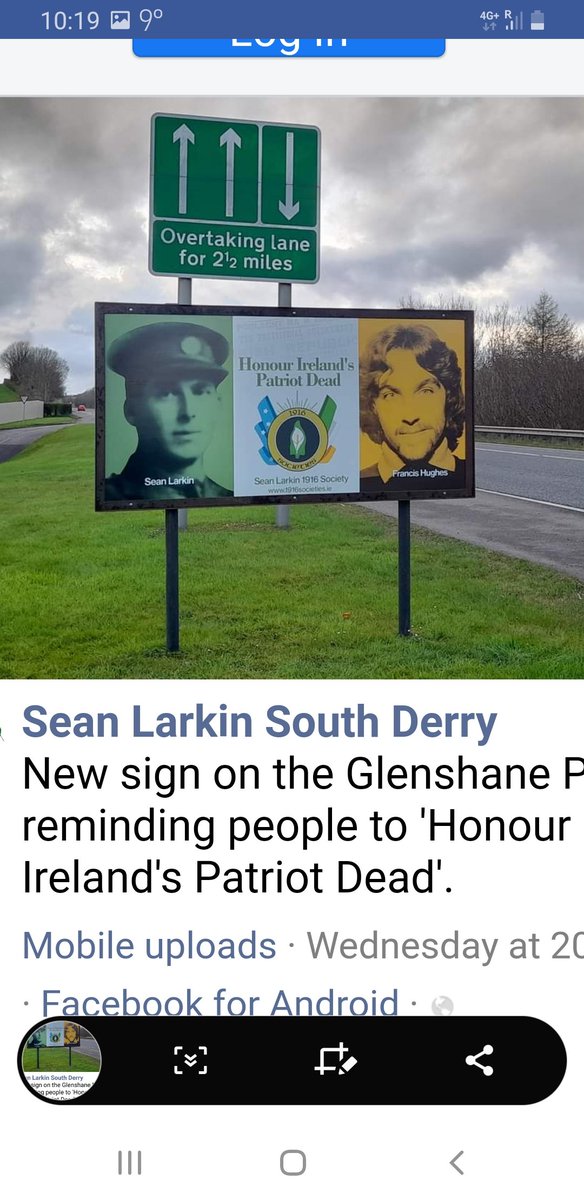 Fiona McCallion tweet media