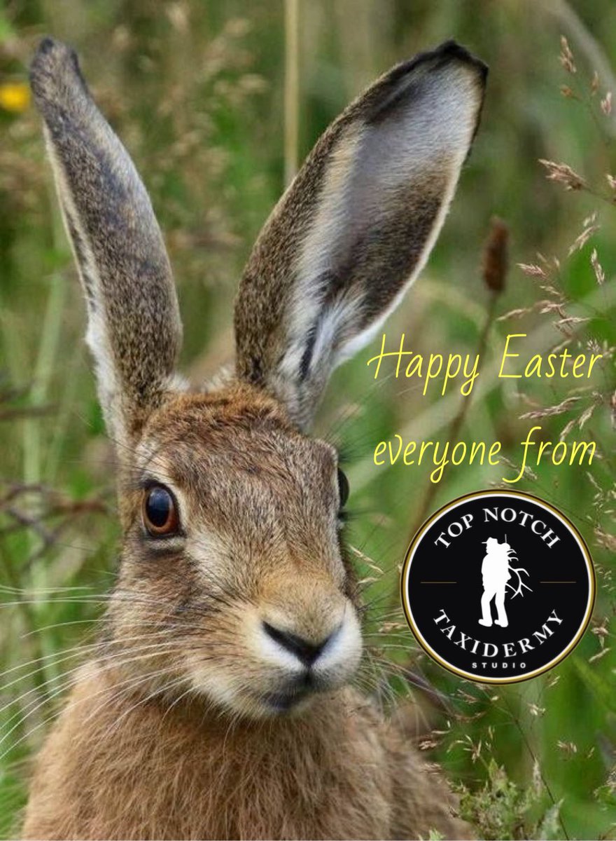 topnotchwiebe's tweet photo. Happy Easter from @topnotchwiebe @CoaldaleAB https://t.co/aRGOjw8j7C