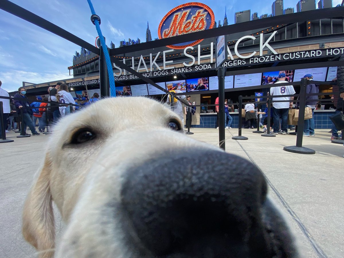 Selfie time! 📸 

Picking up some pawsome Shake Shack at my first <a href="/Mets/">New York Mets</a> game! If you see me trotting around <a href="/CitiField/">Citi Field</a>, come say hi!! 🐾

Can't wait to meet you, Mets frens! #LGM