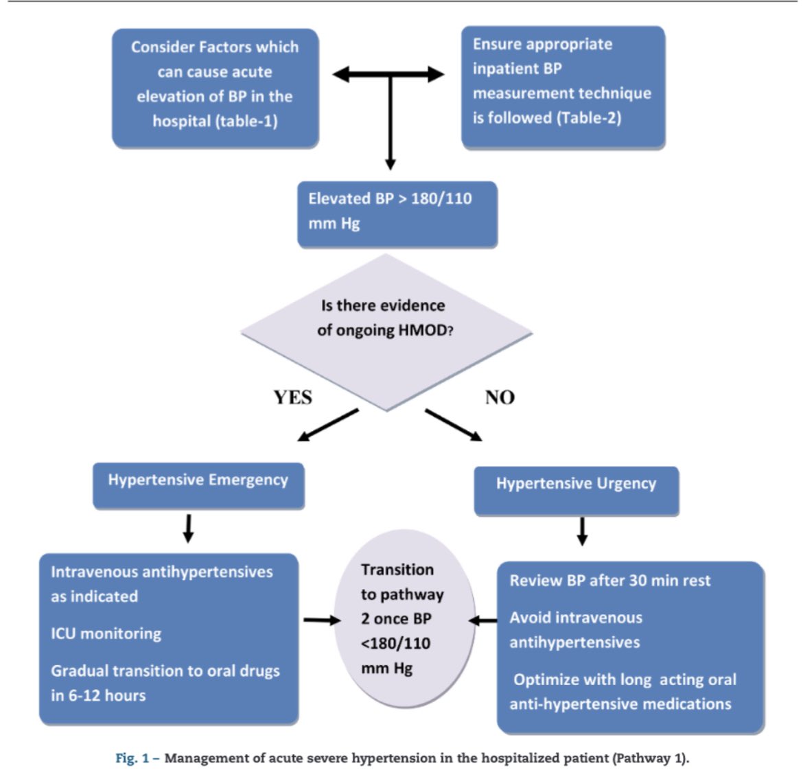 ProNephron's tweet photo. Management of Hypertension in the Hospitalised Patient
#NephPearls #NephPractice
https://t.co/vzkQuXLlhW
@krishnadoctor1 @ankurparth https://t.co/DqKG6RQRJE