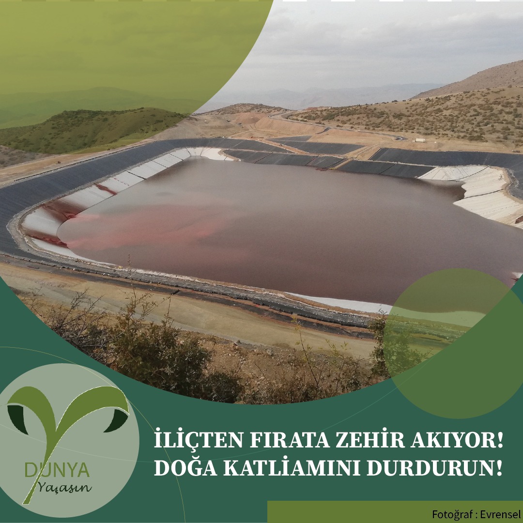 DunyaYasas's tweet photo. Erzincan, İliç'te bölgenin canlılığını ve yaşamını tehdit eden siyanür havuzunun "kapasite arttırılması" adı altında 640 futbol sahası büyüklüğüne çıkarılmasına şiddetle karşı çıkıyoruz!
Yaşasın İliç, Dünya Yaşasın! #FıratSiyanurAkıyor https://t.co/eGahKmVqRh