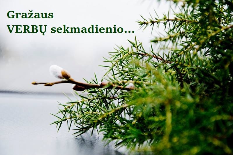 Janite  Jurgeleviciu (@janite60) on Twitter photo 