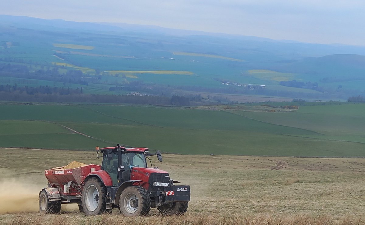 Stuart Mitchell tweet media