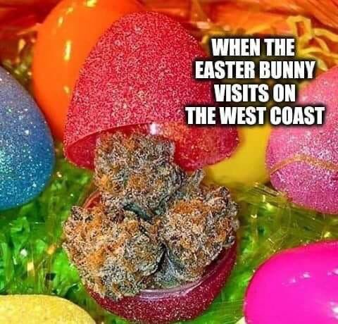 mtlunasea's tweet image. #almostEaster 🐣🐇🐥.
The Easter Budney 🐰