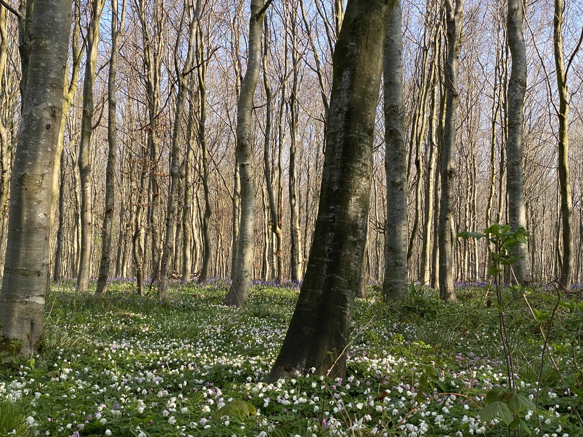 Camille Magniez (@c_magniez) on Twitter photo Spring really is the best season for early risers. 🇫🇷 🚲 🌸 Spring really is the best season for early risers. 🇫🇷 🚲 🌸