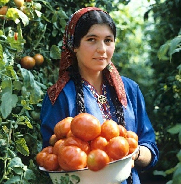 Turkmen girl in harvest, by Vladimir Rodionov

Date; 1981