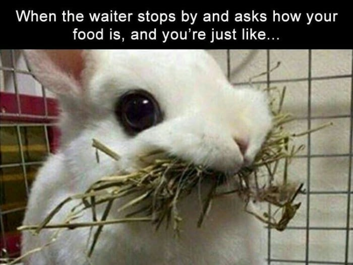 excogitatori_s's tweet image. #hatethis