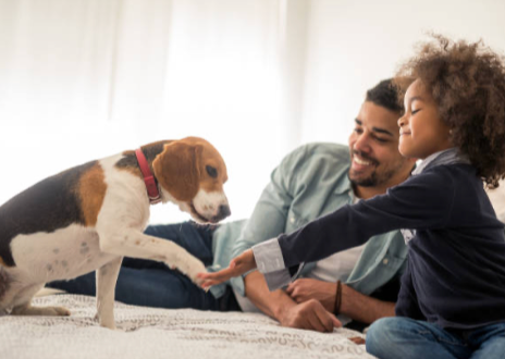 CleanBowlClub's tweet image. 