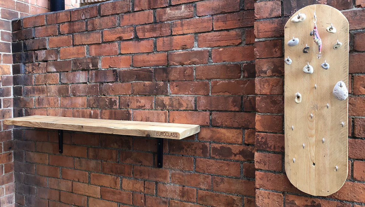 happyhillers's tweet photo. Today after we’d been grocery shopping my husband made me a display board for my #hagstones and put up a shelf for plants👍🏼 Following which, between us and with rudimentary tools we dug up this beast of a #Baytree root, it took a few hours 😱😯🥱 but it’s gone now 👏🏼👏🏼👏🏼 https://t.co/vqrzaWhF2q