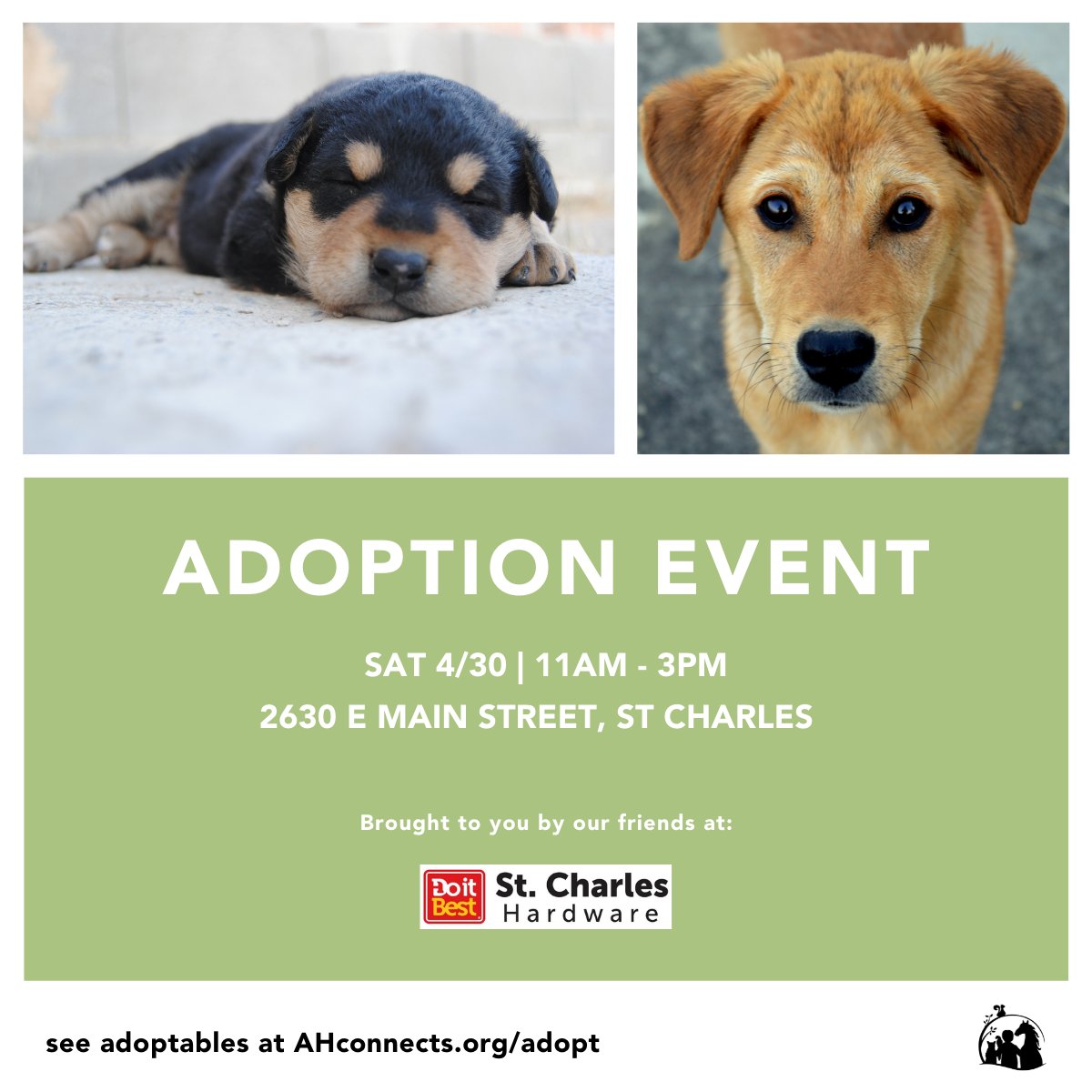 AndersonHumane's tweet photo. Join #AndersonHumane &amp; our friends at #DoItBestHardware in St. Charles for their first-ever Spring Fling event SAT 4/30: #FamilyFriendly w/ lots of fun activities, incl. a special #PetAdoptionEvent from 11am-3pm!
#DogsOfTwittter #PuppiesOfTwitter #PetAdoption #dogs #AdoptADog https://t.co/ZmjXAqS5kY
