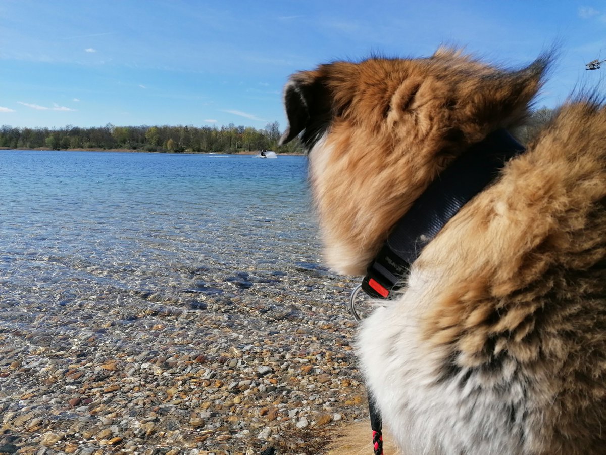 being outside is nice!