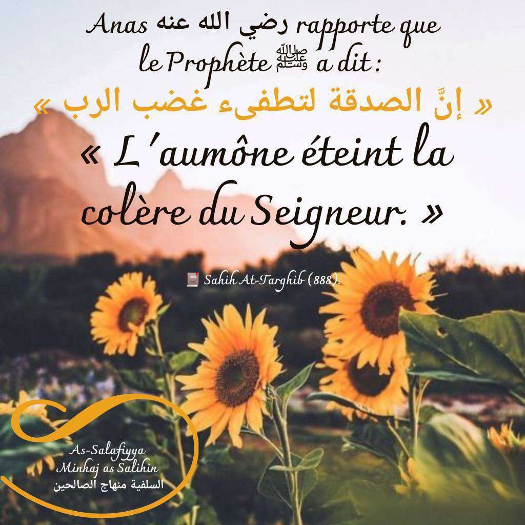 LeMTempete's tweet photo. Ramadan = multiplication des bonnes actions 

« Celui qui appelle à un bien aura la récompense de celui qui le suivra, sans que leurs récompenses (respectives) soient pour autant diminuées. »

N’hésitez donc pas à partager ce thread même si vous ne pouvez pas donner !

⬇️⬇️⬇️ https://t.co/JZHueGvw7h