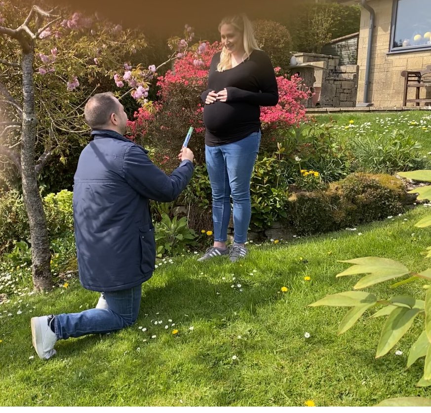 Dissipated Trotwood tweet media