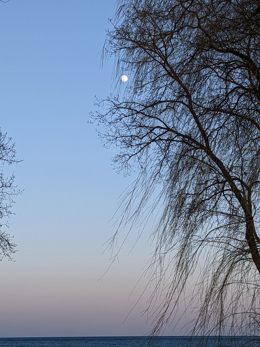 caneggscanada's tweet photo. Pink moon over Lake Ontario #protein #Canada #Toronto #moon #eggwhitepowder #pink #sky #beach https://t.co/Amr50Qj2iN