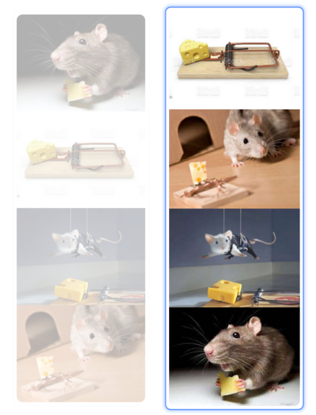 realRioda's tweet photo. Ninja mouse, getting the cheese, nice flip :)
#funnyflip #idenavalidation https://t.co/Es39hFIrjf