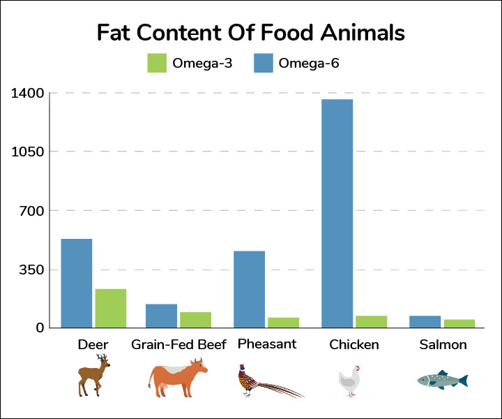 We the consumer, are the ones that ultimately suffer from this. Conventional Grain-Fed birds have an Omega-6 to Omega-3 ratio that can be as high as 17:1.Contrast this to a pasture-raised chicken, which has an Omega 6 to Omega-3 ratio of 6:1.